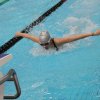 Weddinger Herbstpokal