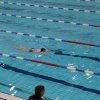 image img_1337801058_45-jpg